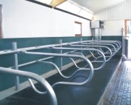 Ydre-Grinden (Frih�ngande liggb�s)