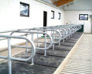 Ydre-Grinden (Golvbultade liggb�s)