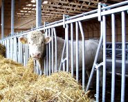 Ydre-Grinden (L�sbar �rfront)